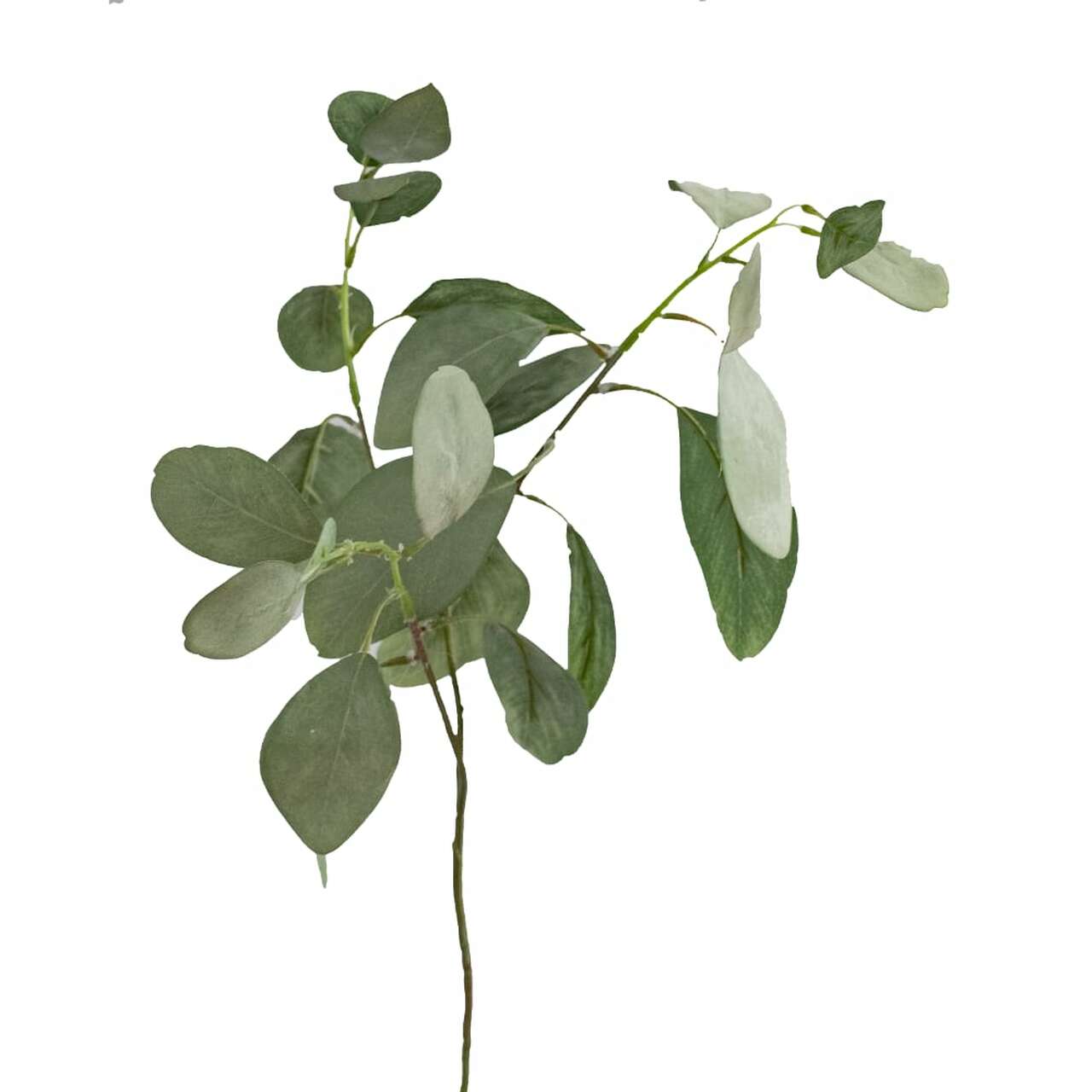 Green Eucalyptus Spray 60cm