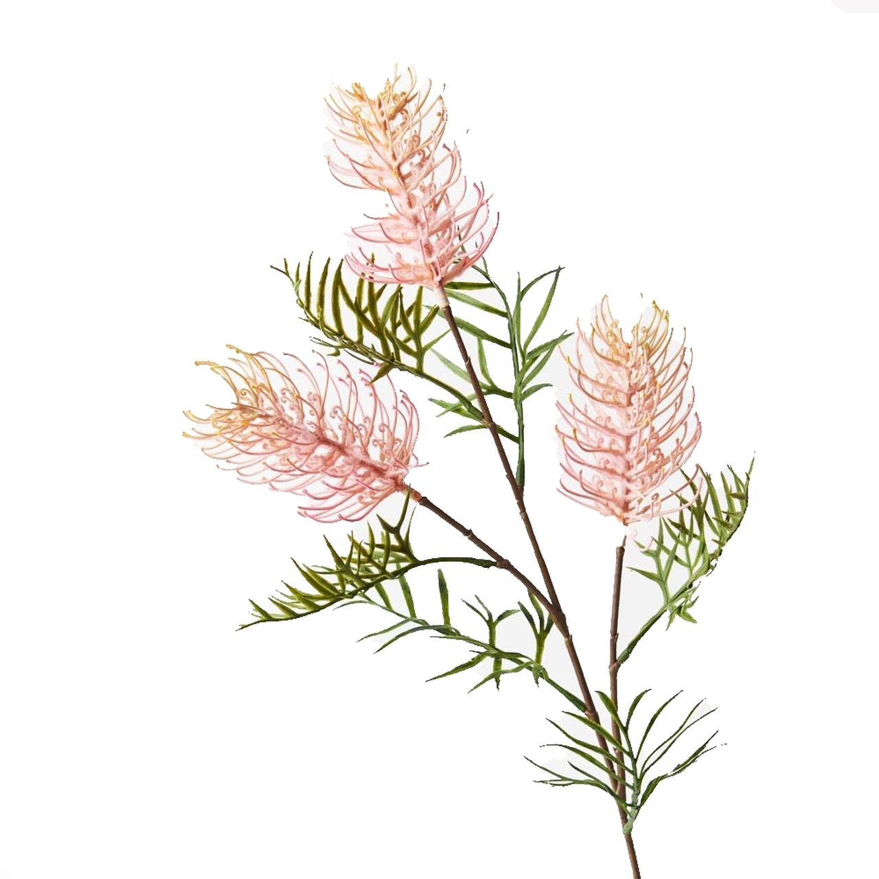 Light Pink Grevillea Spray